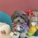 어썸멍스쿨 이미지