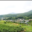 부산 기장군 철마면 이곡리 입향조, 우석우(禹錫友) 이미지