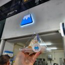 [한라당] 크림 폭발! 제주 서귀포 올래시장 디저트 땅콩빵과 말차빵 찐 후기🥜