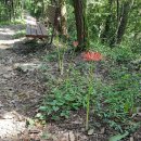 석당농장 이미지