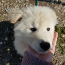 정용농장 이미지