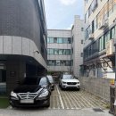 맘마독 | 반려견 식이와 운동을 함께 관리하는 곳, 알프비 독피트니스 센터 다녀온 후기