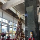 원짬뽕 | 호텔오크우드 프리미어 코엑스 센터 중국집 이화원 4만원짜리 해물짬뽕 후기