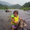 수목원펜션 이미지