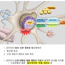 안성경희365한의원 이미지