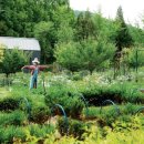 정운농장 이미지