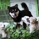 금골농장 이미지