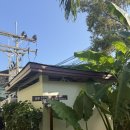 프린세스 | 피피 프린세스 후기 리조트 조식 수영장 모든것!