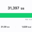 광양항해양공원 이미지