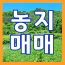 영웅부동산컨설팅공인중개사사무소 이미지