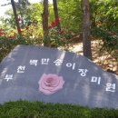 백만성