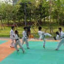 무궁화태권도체육관 이미지