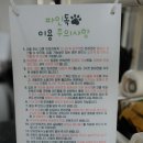 파인독(pine dog) | [강릉] 파인독 : 소형견부터 대형견까지 이용 가능한 애견 놀이터