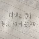 타조약국 이미지