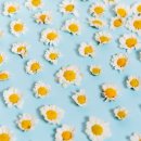 영월세무서 이미지