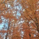 프로방스 | 담양 메타프로방스 펜션 메종드프로방스 솔직 후기