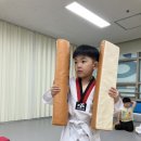 강산 태권도장 네이버블로그