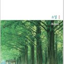 소설 - 배수지 &#39;로또복권&#39; 이미지