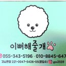 이뻐해줄개