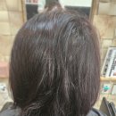 헤나 헤어샾 - 영광군 | 헤나 헤어샾