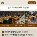 광천통앞 - 중 | LED 태양광 정원등 태양열 야외 조명 가로등 잔디 수정 구슬 후기
