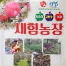 명품스토리 이미지