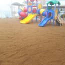 고경초교병설유치원 이미지