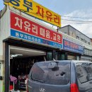동부차유리
