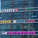 대전애견미용학원 이미지