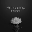 키즈베이파크 이미지