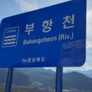 감주천 티스토리