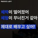 엑설라이프 | 엑설라이프 노은PT 추천 / 대전 반석역 헬스장