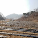 전원생활공인중개사사무소 이미지