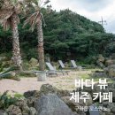 꼬스덴뇨 | 제주 구좌읍 바다 뷰 카페 꼬스뗀뇨 구좌 가볼만한곳
