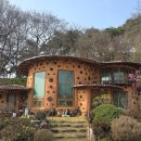 시골살이 집으로 | 시골살이 / 태양광 충전 정원등 설치 /사과 대추나무· 반송·철쭉 등 가지치기 / 다이소 제품 사용 후기