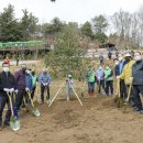 순천 나무숲 이미지