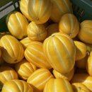 승일농장 이미지