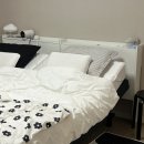 [신혼 침대 추천🛏️]템퍼 모션베드 싱글2개 사용 후기 꿀잠 예약💤 (내돈내산💵)
