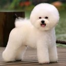 귀족동물병원 이미지