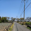 명월편지 이미지