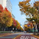 강서구-68 이미지