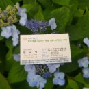 안덕면 통물(감산리) 이미지