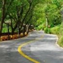 고개랑산채랑 이미지