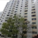 하단동1175 이미지