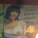 갯마을조개 Daum카페