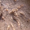 천기농장 이미지