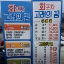 고래의꿈 이미지