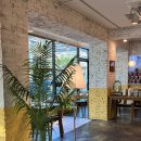 사파동186 이미지