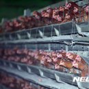 부성축산 이미지