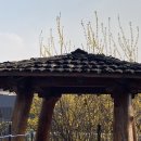원두막 - 20025 | 원두막